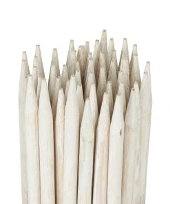 Relaxdays Pflanzenstab 30 cm im 50er Set 17 Relaxdays Pflanzenstab 30 cm im 50er Set -Gartenaccessoires Verkäufe 2022 0271822ef55444b9ab139c5ddb0302bc