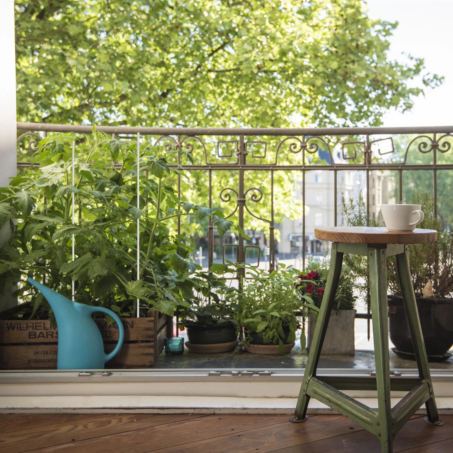 Relaxdays 50 x Pflanzenstab 60 cm 4 Relaxdays 50 x Pflanzenstab 60 cm – Bild 2