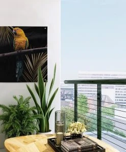 MuchoWow Outdoor-Poster 50x50 Vogel - Papagei -Gartenaccessoires Verkäufe 2022 057db8a3c1f44796bb173306ff78aec6