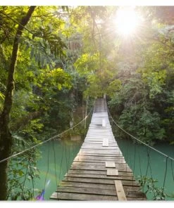 MuchoWow Outdoor-Poster 90x60 Dschungel -