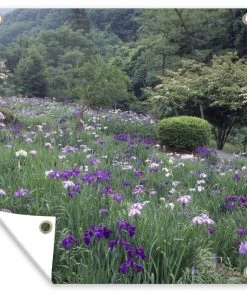 MuchoWow Outdoor-Poster 100x100 Blumen der