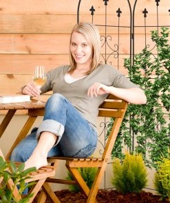 Relaxdays Schwarze Rankgitter im 2er Set 12 Relaxdays Schwarze Rankgitter im 2er Set -Gartenaccessoires Verkäufe 2022 0da667d09750413094837f86377ca03b