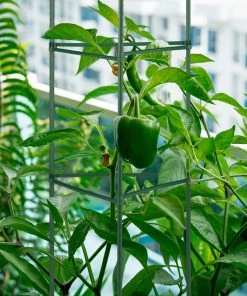 Relaxdays Rankhilfe 4er Set 90 cm 13 Relaxdays Rankhilfe 4er Set 90 cm -Gartenaccessoires Verkäufe 2022 0e55592d278042d3ac6cda2de31a415f