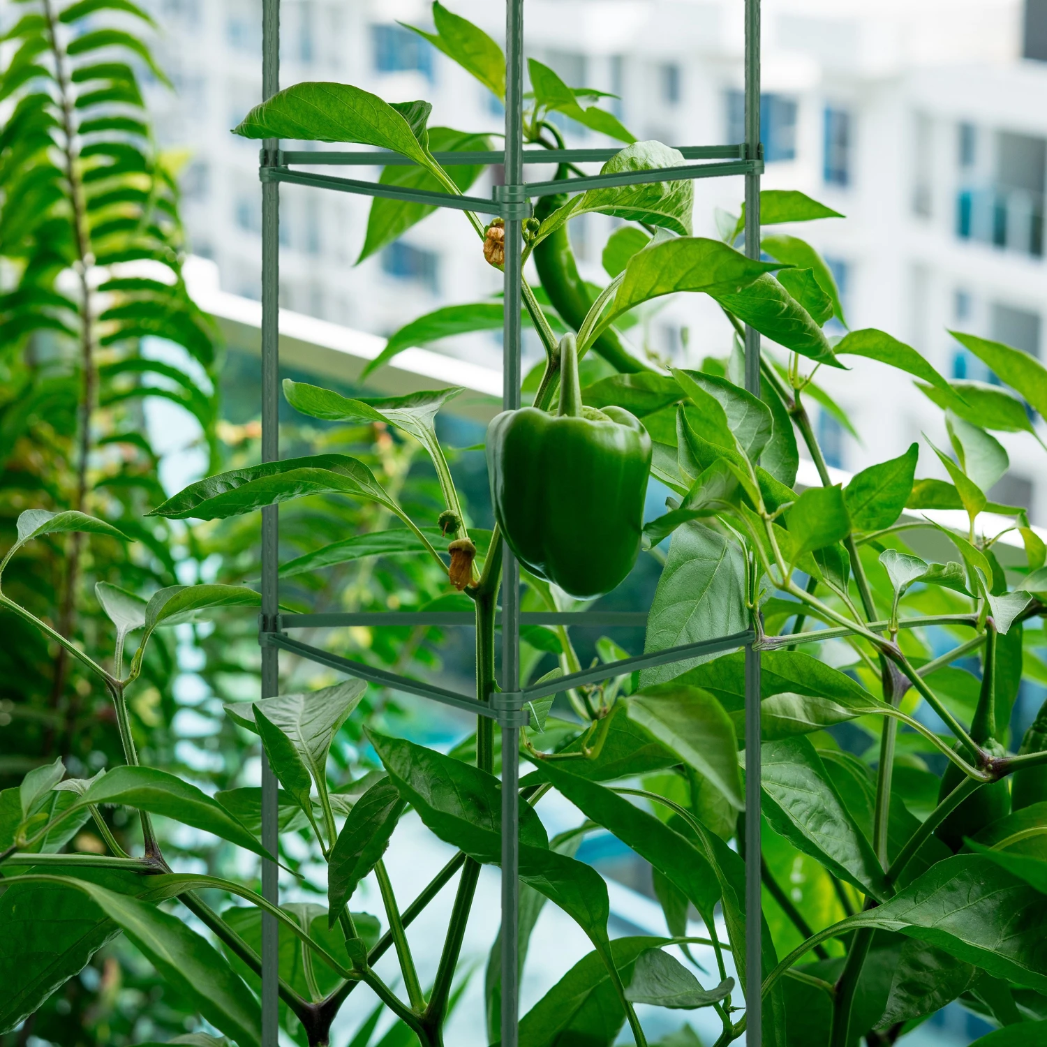 Relaxdays Rankhilfe 4er Set 90 cm 6 Relaxdays Rankhilfe 4er Set 90 cm – Bild 4