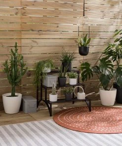 MBM Blumentreppe Spring Hill I - Schmiedeeisen -Gartenaccessoires Verkäufe 2022 1000043296 210113 12564800001 MOOD DETAILS P000000001000043296 mood