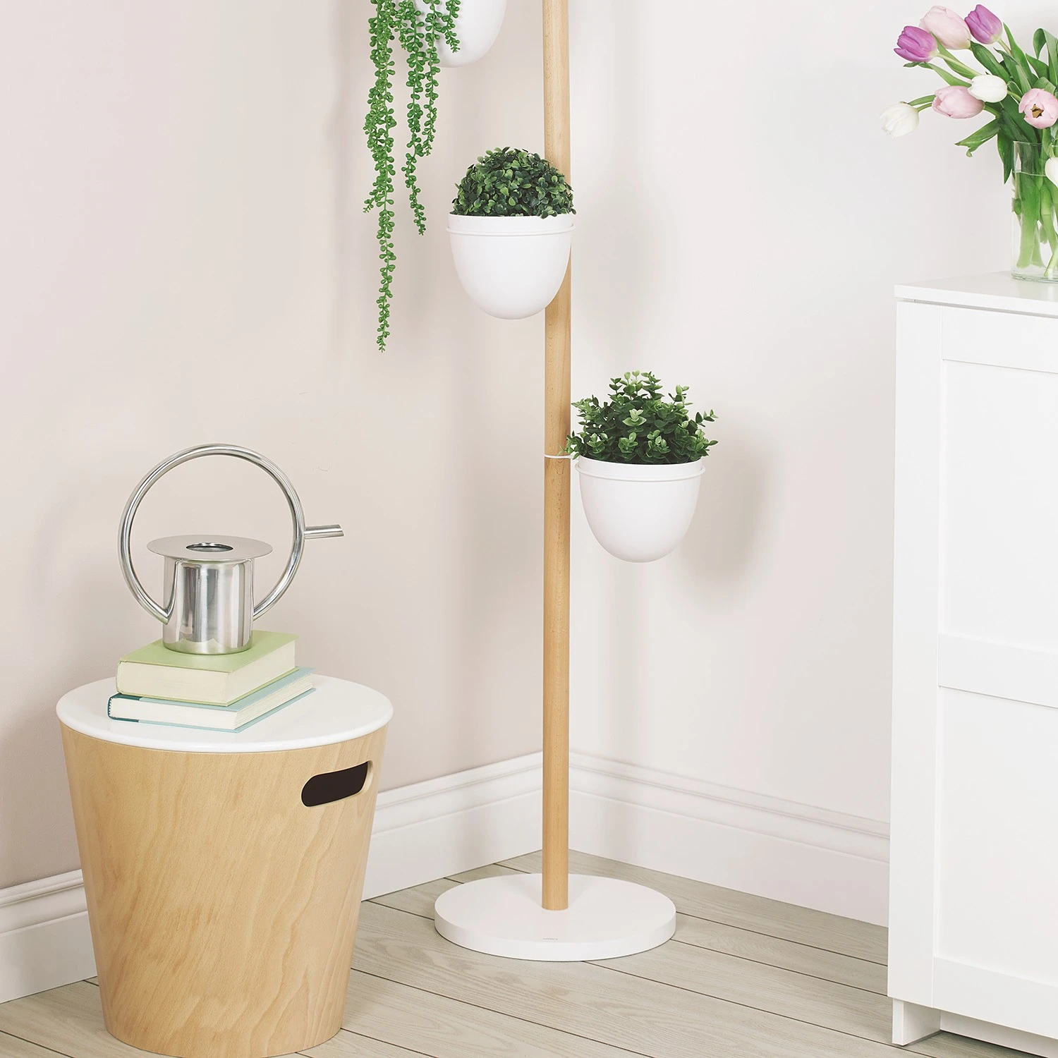 Umbra Gießkanne Quench - Edelstahl - Stainless Steel - 26,035cm x 24,892cm x 15,24cm 13 Umbra Gießkanne Quench - Edelstahl - Stainless Steel - 26,035cm x 24,892cm x 15,24cm – Bild 11