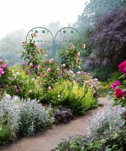 Relaxdays Rankgitter im 2er Set 150 cm -Gartenaccessoires Verkäufe 2022 110d7e372d73429a8f3c9cca6781b795