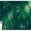 MuchoWow Outdoor-Poster 120x80 Palmenblätter - -Gartenaccessoires Verkäufe 2022 1220e464ab904755b595c02a426ca96c.cropped 48 184 803 535.processed