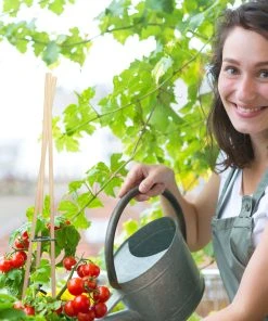 Relaxdays 50er Set Pflanzstäbe 90 cm 13 Relaxdays 50er Set Pflanzstäbe 90 cm -Gartenaccessoires Verkäufe 2022 136ca93019c643ec887bd80710ec8150