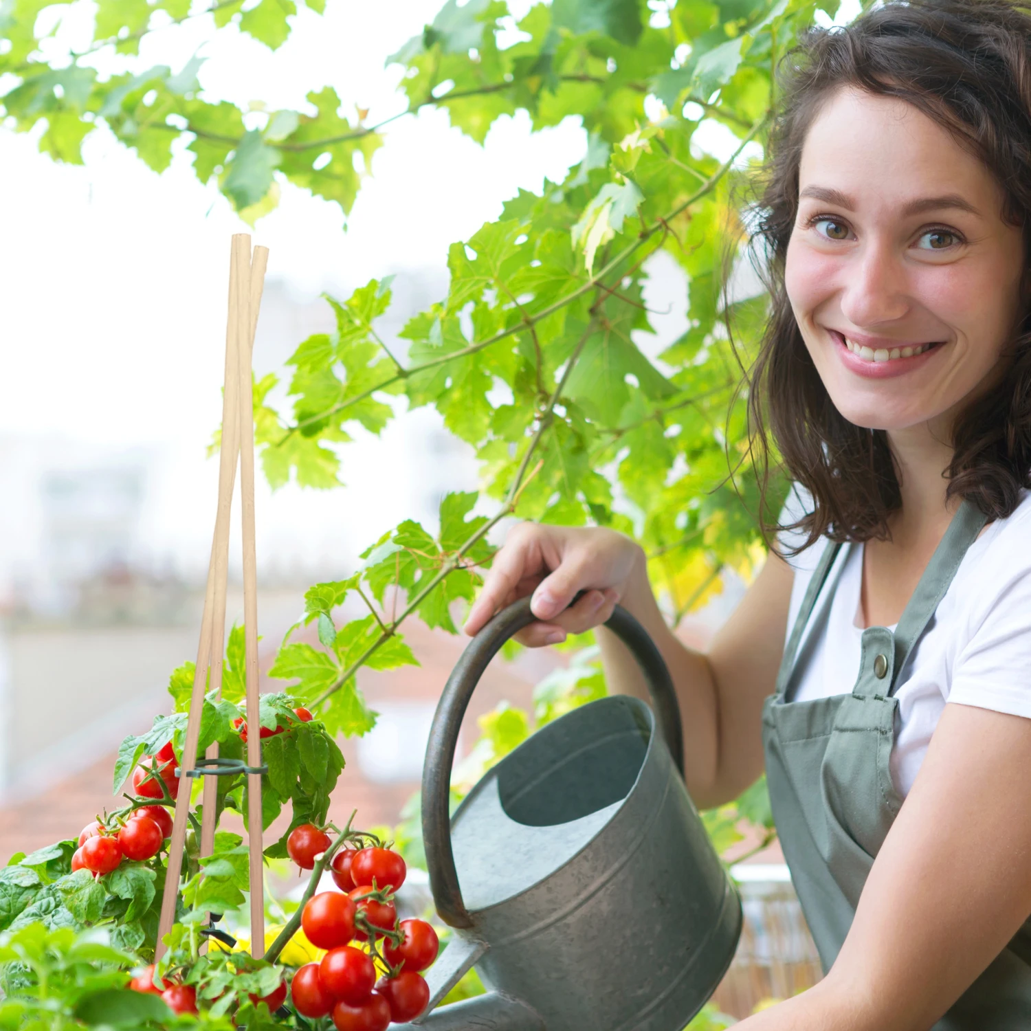 Relaxdays 50er Set Pflanzstäbe 90 cm 5 Relaxdays 50er Set Pflanzstäbe 90 cm – Bild 3