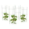 Relaxdays 4 x Rankhilfe Tomaten 1 Relaxdays 4 x Rankhilfe Tomaten -Gartenaccessoires Verkäufe 2022 14028a6bc9bb4ee8bbe5390f24e967aa