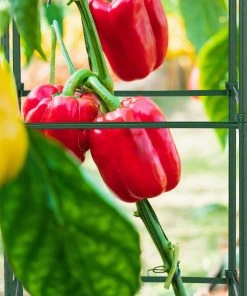 Relaxdays Rankhilfe 4er Set 90 cm 14 Relaxdays Rankhilfe 4er Set 90 cm -Gartenaccessoires Verkäufe 2022 163d1f4781a1406e847d124e3f803fdd