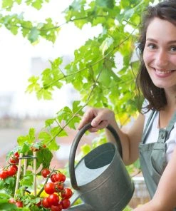 Relaxdays Bambus Pflanzstäbe 30 cm 50er Set -Gartenaccessoires Verkäufe 2022 16a33ad669d94844baeac4182d912cf8