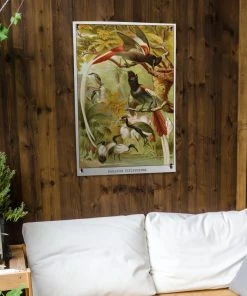 MuchoWow Outdoor-Poster 60x90 Vögel - -Gartenaccessoires Verkäufe 2022 179e71de087844ba89bea844c1439d81