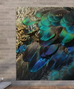 MuchoWow Outdoor-Poster 200x200 Federn - Pfau -Gartenaccessoires Verkäufe 2022 1b433f110b2341ed8db358aeb27dfa9c