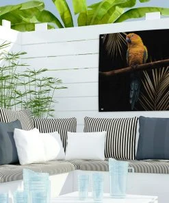 MuchoWow Outdoor-Poster 50x50 Vogel - Papagei -Gartenaccessoires Verkäufe 2022 1c22769ac08644fbb4c5619027c89748