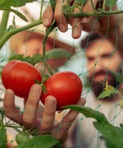 Relaxdays Ranknetz 180 x 360 cm -Gartenaccessoires Verkäufe 2022 1c55590839804fa193f20a0e0ca8a631