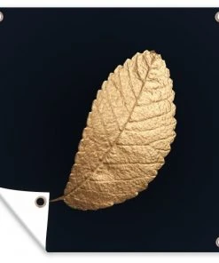 MuchoWow Outdoor-Poster 100x100 Gold - Blatt -