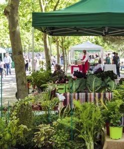 Relaxdays Grüner Pflanzenstab 60 cm im 50er Set -Gartenaccessoires Verkäufe 2022 262c56725d1a4eb1b612747505ba3014