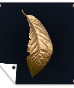 MuchoWow Outdoor-Poster 100x100 Blätter - Gold