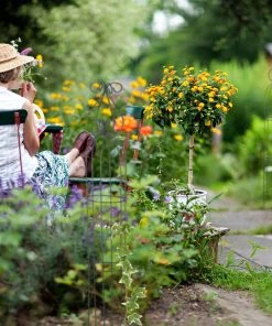 Relaxdays Rankhilfe Obelisk 3er Set -Gartenaccessoires Verkäufe 2022 2b412fcb9c914ec1972f47cff13470b6