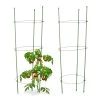 Relaxdays Rankhilfe Tomaten 2er Set