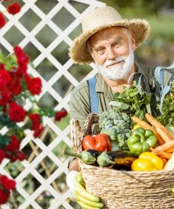 Relaxdays Rankkasten Holz in Weiß 13 Relaxdays Rankkasten Holz in Weiß -Gartenaccessoires Verkäufe 2022 2ba488459471416091d24ce4ace775e1