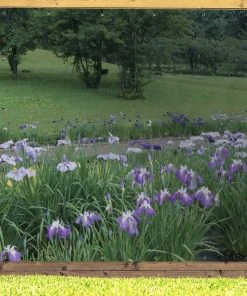 MuchoWow Outdoor-Poster 200x200 Japanische -Gartenaccessoires Verkäufe 2022 2d687032de6849d3991fc34348c4c550