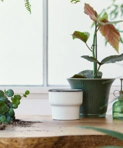 Relaxdays 50er Set Pflanzenstab 60 cm -Gartenaccessoires Verkäufe 2022 2dc31cd8aedc4afe9ff83e0de3397af6