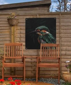 MuchoWow Outdoor-Poster 50x50 Eisvogel - Vogel -Gartenaccessoires Verkäufe 2022 2e4a46e039a14246baa00c8a12cce035