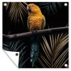 MuchoWow Outdoor-Poster 100x100 Vogel -