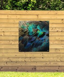 MuchoWow Outdoor-Poster 100x100 Federn - Pfau -Gartenaccessoires Verkäufe 2022 35a2b2b061094c838a68d6c9ac49bab6