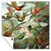 MuchoWow Outdoor-Poster 100x100 Trochilidae - -Gartenaccessoires Verkäufe 2022 37d225ed8bf840969b793d8219543a8c.cropped 128 141 640 637.processed