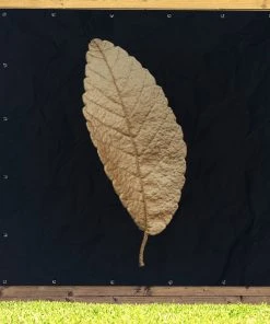 MuchoWow Outdoor-Poster 200x200 Schwarz und -Gartenaccessoires Verkäufe 2022 3b1df7c7840e41eebe2ccc036af35de5