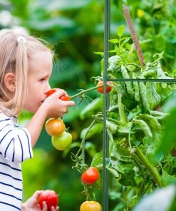 Relaxdays Rankhilfe 4er Set 150 cm 12 Relaxdays Rankhilfe 4er Set 150 cm -Gartenaccessoires Verkäufe 2022 415626cd32bc465fb19e8817cd0ad9dc