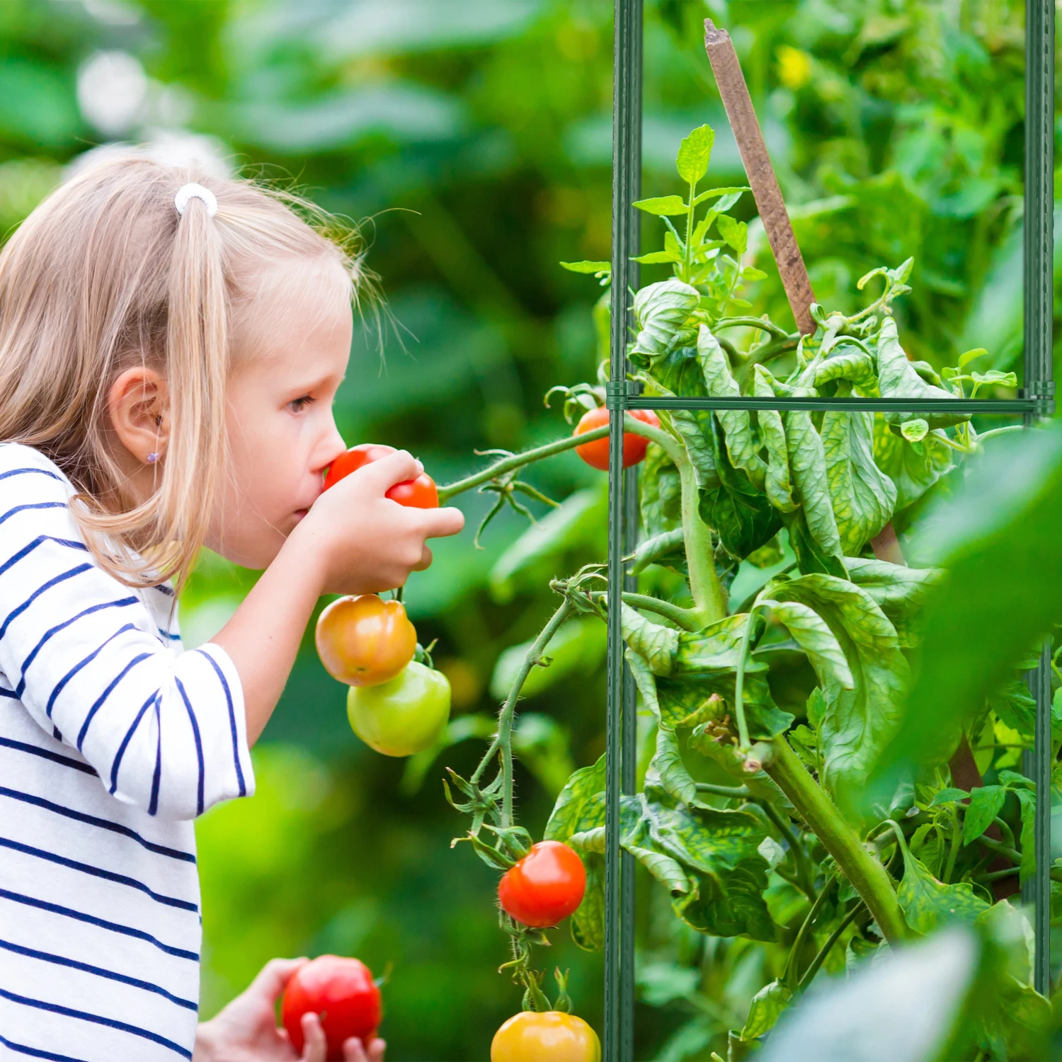 Relaxdays Rankhilfe 4er Set 150 cm 5 Relaxdays Rankhilfe 4er Set 150 cm – Bild 3