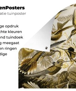 MuchoWow Outdoor-Poster 100x100 Trochilidae - -Gartenaccessoires Verkäufe 2022 423cf564e38b42cd949f3c75a4aa21d7.cropped 45 19 1455 962.processed 1