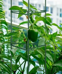 Relaxdays Rankhilfe 4er Set 150 cm -Gartenaccessoires Verkäufe 2022 4329ed7d9c244219aa9c9de549024e78