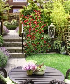 Relaxdays Rankgitter 2er Set 220 cm 14 Relaxdays Rankgitter 2er Set 220 cm -Gartenaccessoires Verkäufe 2022 4570d8881d5a45709094593d3960450a