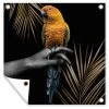 MuchoWow Outdoor-Poster 100x100 Vogel - -Gartenaccessoires Verkäufe 2022 46a64bd82bc24caf9ead1469cd19f465.cropped 128 141 640 637.processed