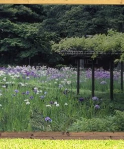 MuchoWow Outdoor-Poster 200x200 Japanische -Gartenaccessoires Verkäufe 2022 48e075dfe3854e788968df95e46c9a2e