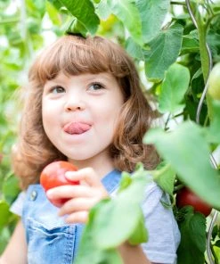 Relaxdays Rankhilfe 10er Set -Gartenaccessoires Verkäufe 2022 493e5bba9975456fab9c102c088e0718