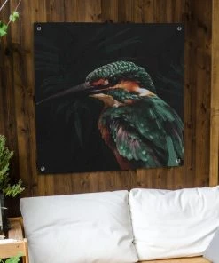 MuchoWow Outdoor-Poster 100x100 Eisvogel - -Gartenaccessoires Verkäufe 2022 4980f10c681c40118c48ab9047f0c943