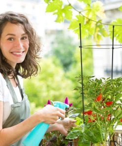 Relaxdays Schwarze Rankhilfe im 6er Set 76 cm 15 Relaxdays Schwarze Rankhilfe im 6er Set 76 cm -Gartenaccessoires Verkäufe 2022 4a18025b6d0f4443a8e3dd02c1169d14