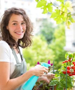 Relaxdays Rankhilfe 4er Set 90 cm 12 Relaxdays Rankhilfe 4er Set 90 cm -Gartenaccessoires Verkäufe 2022 4a94b23024bf40f7ab1c19108225b881