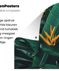 MuchoWow Outdoor-Poster 160x80 Dschungel - -Gartenaccessoires Verkäufe 2022 4b458c5f90724222baad1c809a710540.cropped 45 19 1455 962.processed