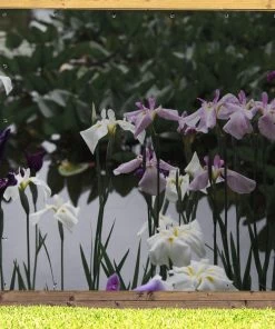 MuchoWow Outdoor-Poster 200x200 Japanische -Gartenaccessoires Verkäufe 2022 4ba8bc9fa982424eab98e874d0b7e133