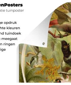 MuchoWow Outdoor-Poster 120x180 Vögel - -Gartenaccessoires Verkäufe 2022 4f43d2bc58aa4511bed60ad085baa83f.cropped 45 47 1455 933.processed