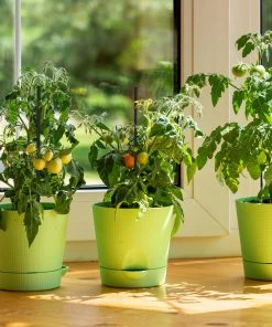 Relaxdays Schwarze Pflanzstäbe 30 cm im 50er Set 14 Relaxdays Schwarze Pflanzstäbe 30 cm im 50er Set -Gartenaccessoires Verkäufe 2022 524a56549b4d43fab4c115f9ccac96f4