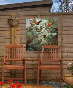 MuchoWow Outdoor-Poster 50x50 Trochilidae - -Gartenaccessoires Verkäufe 2022 52987d060e33466786e775ec08805abe